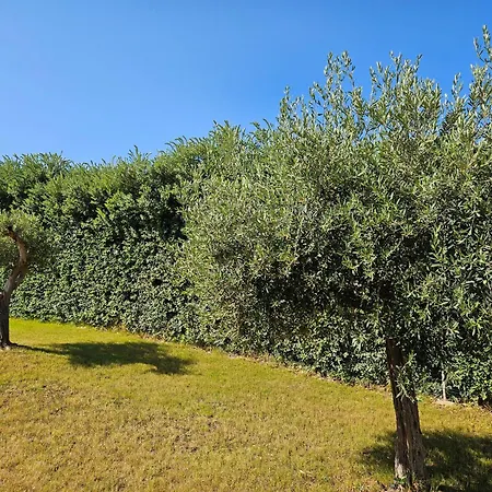 I Due Ulivi Cornino Semesterbostad *